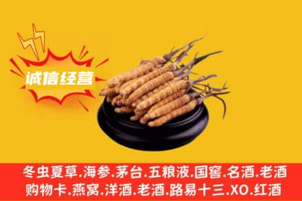 大庆市肇源回收冬虫夏草